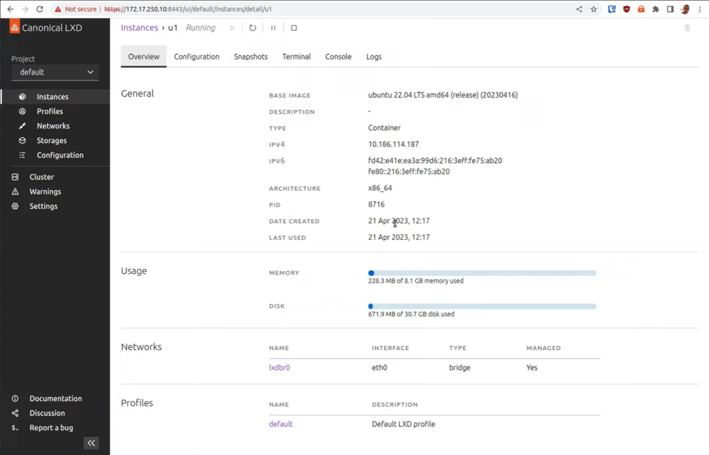 Ubuntu LXD instances overview interface