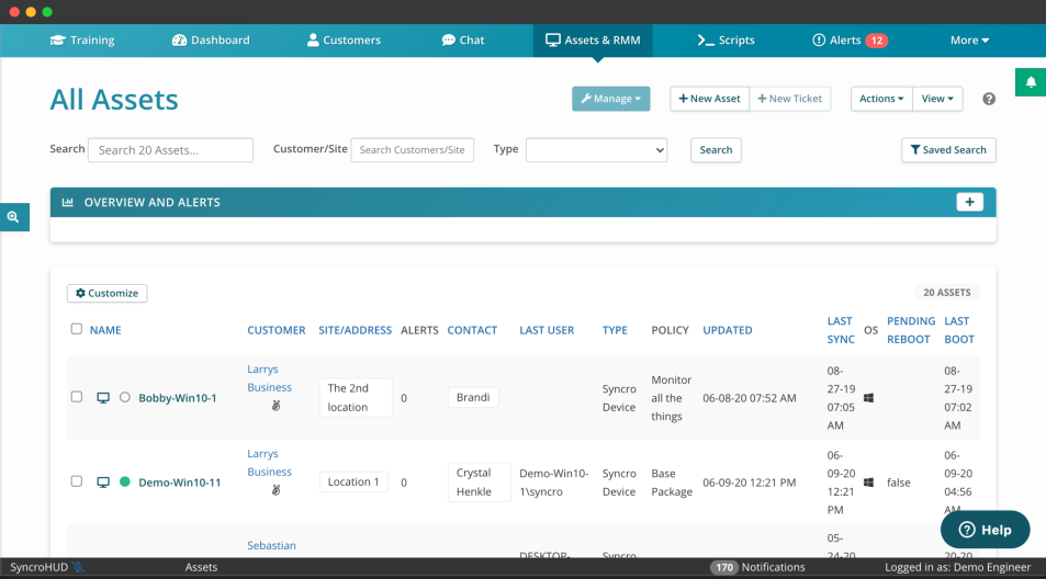 Syncro asset view interface