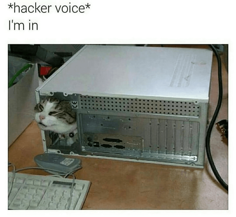 Physical Penetration Testing Screenshot